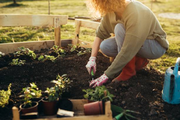 création jardin écologique